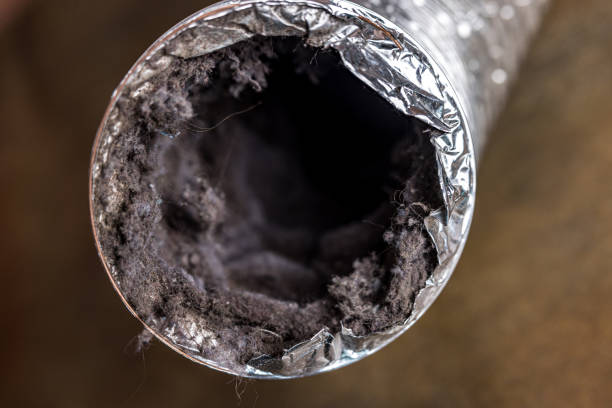 Best Air Duct Cleaning Near Me  in Roseville, CA