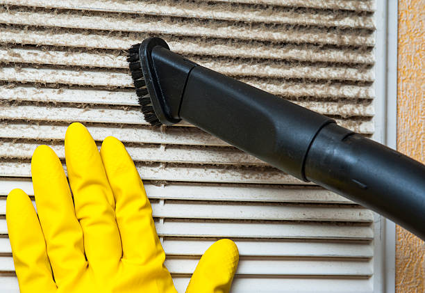 Best Professional Duct Cleaning Services  in Roseville, CA